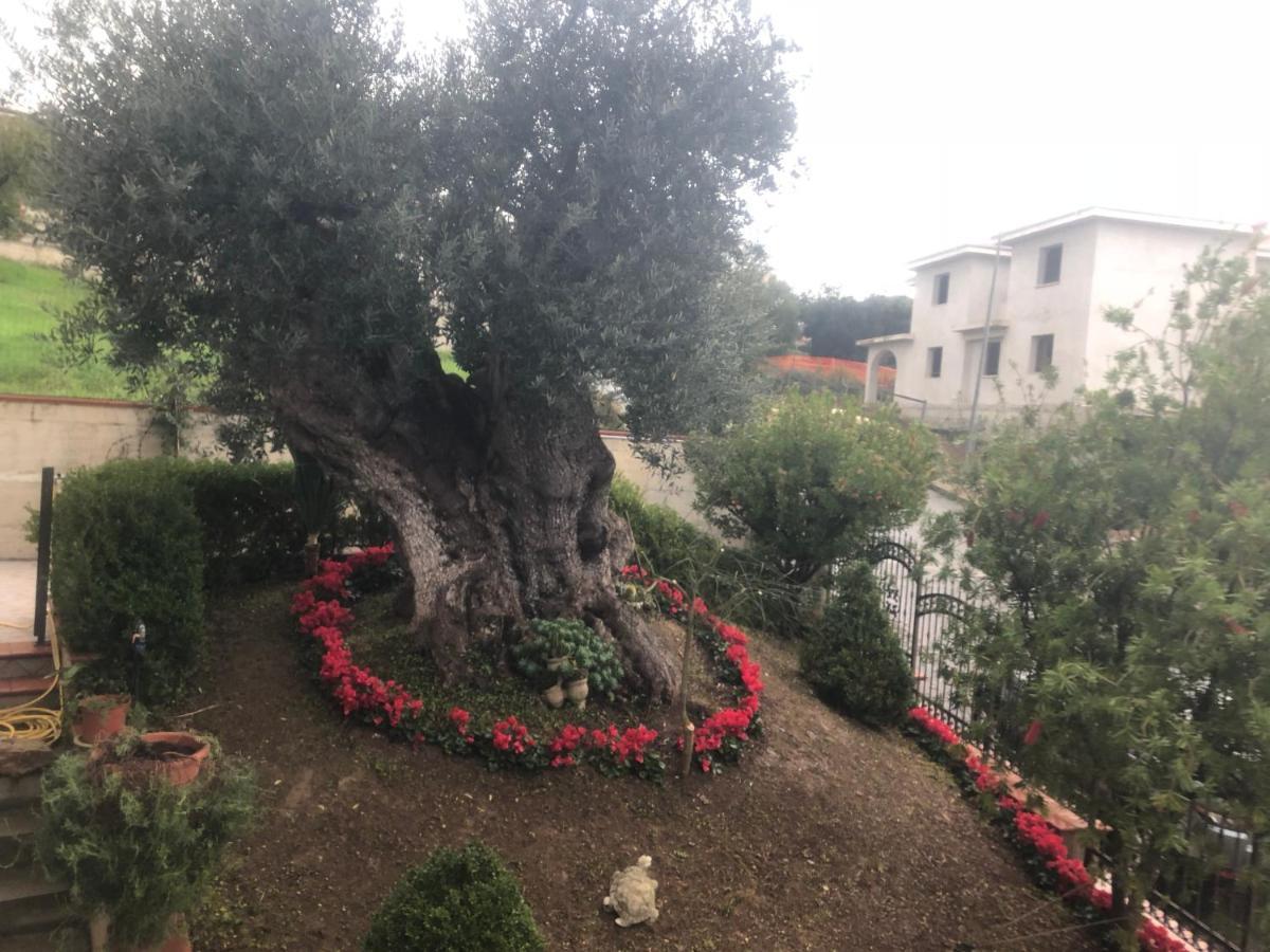 B&B Rosa Dei Venti Roseto Capo Spulico Dış mekan fotoğraf