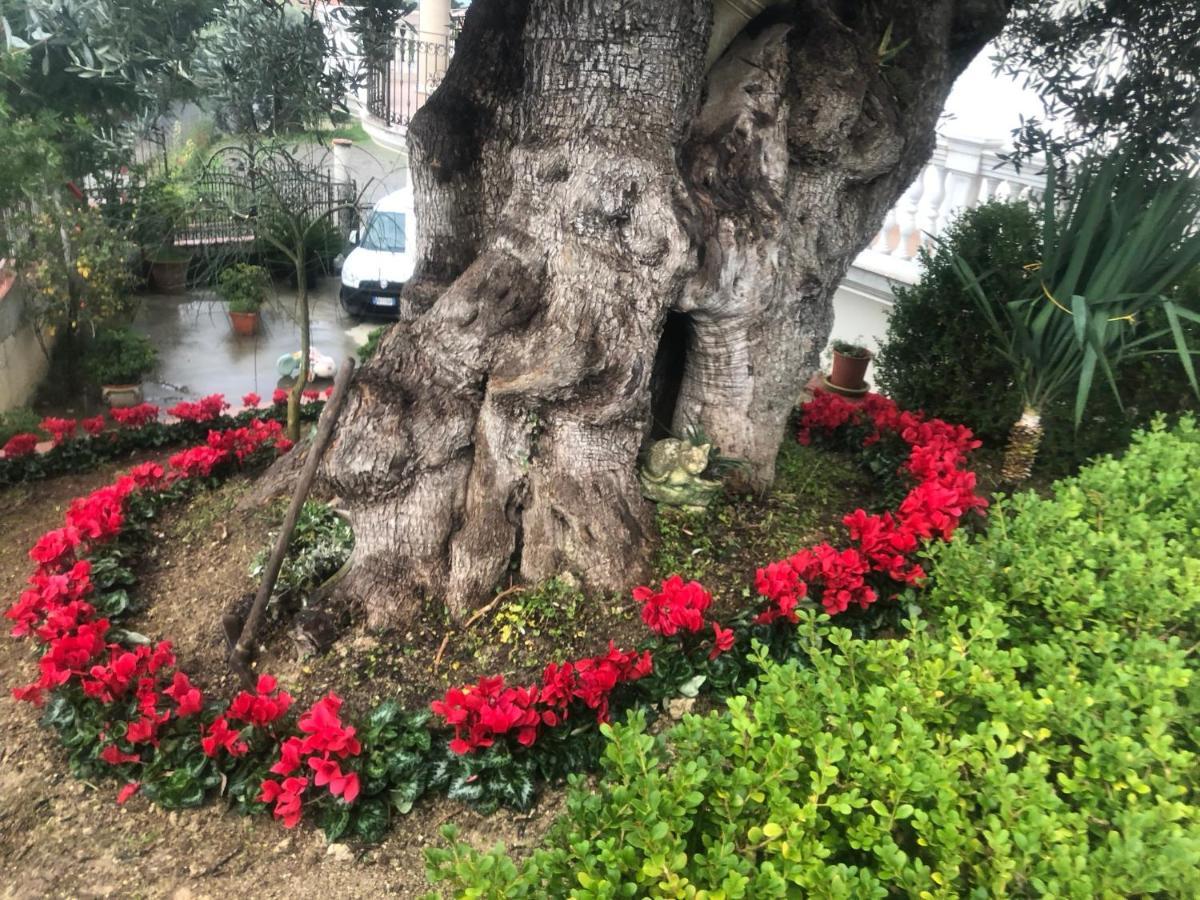 B&B Rosa Dei Venti Roseto Capo Spulico Dış mekan fotoğraf