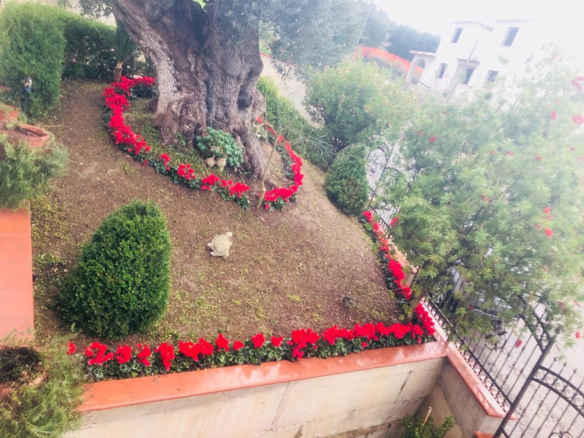 B&B Rosa Dei Venti Roseto Capo Spulico Dış mekan fotoğraf